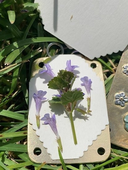 FloraKeep – Halten Sie Ihre geliebten Blumen für immer frisch!