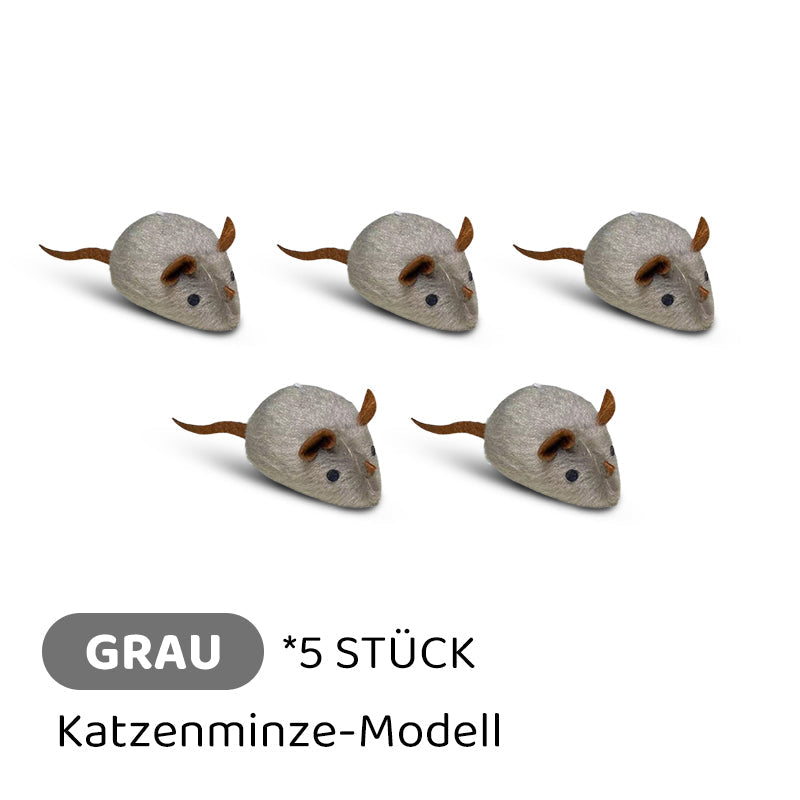 2+1 GRATIS | CatPlay – Jagen, spielen und anfeuern – endloser Spaß für Ihre Katze