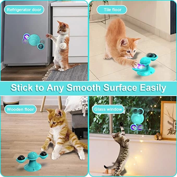 SpinPaw – Endloser Spielspaß & Bewegung für Ihre Katze!