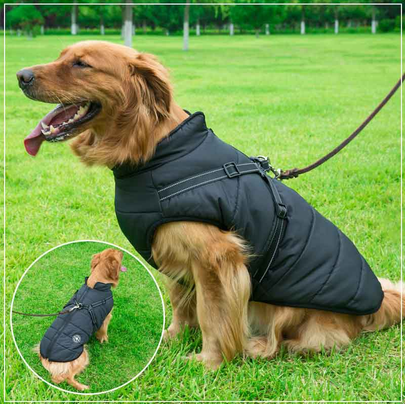 PupGuard - Winter-Hundejacke mit Geschirr