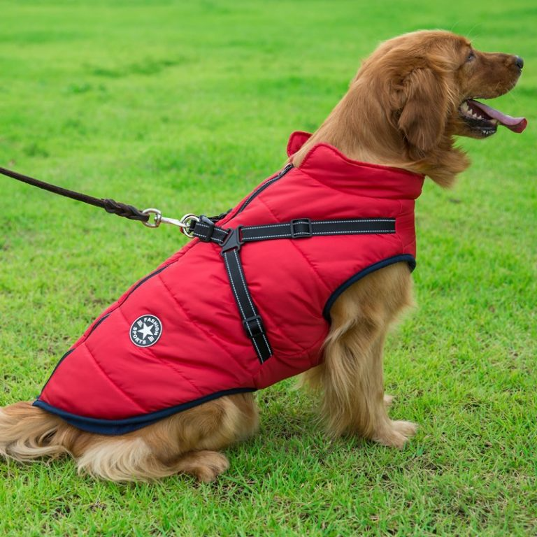PupGuard - Winter-Hundejacke mit Geschirr