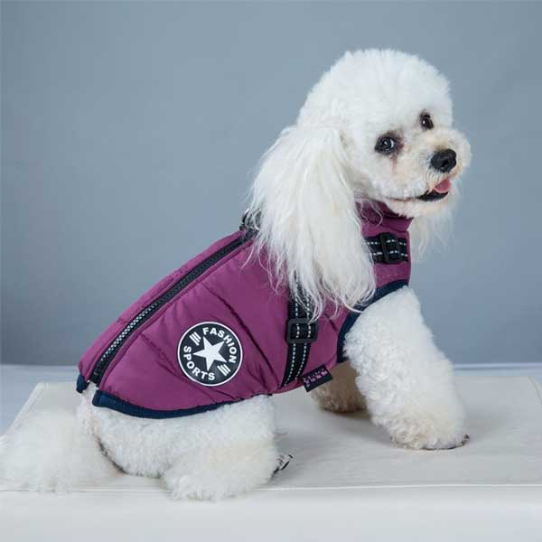 PupGuard - Winter-Hundejacke mit Geschirr
