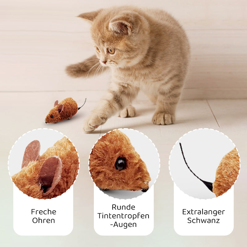 2+1 GRATIS | CatPlay – Jagen, spielen und anfeuern – endloser Spaß für Ihre Katze