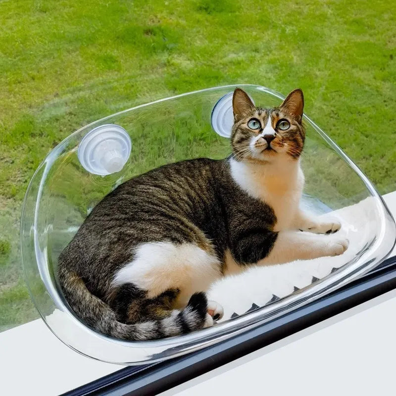 PurrLounge -  Die Ultimative Wohlfühlzone für Ihre Katze