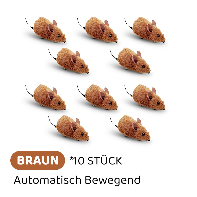 2+1 GRATIS | PawChase – Jagen, spielen, juchzen der Spaß für deine Katze!