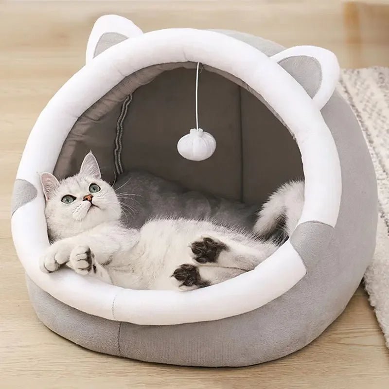 PurrOasis – Das gemütliche Refugium für glückliche Katzen