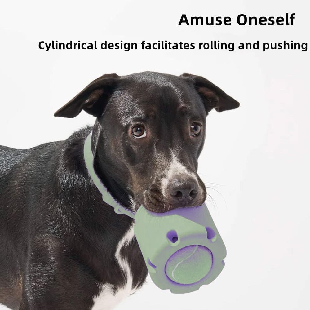 ChewJoy Pro – Gesunde Zähne, glücklicher Hund