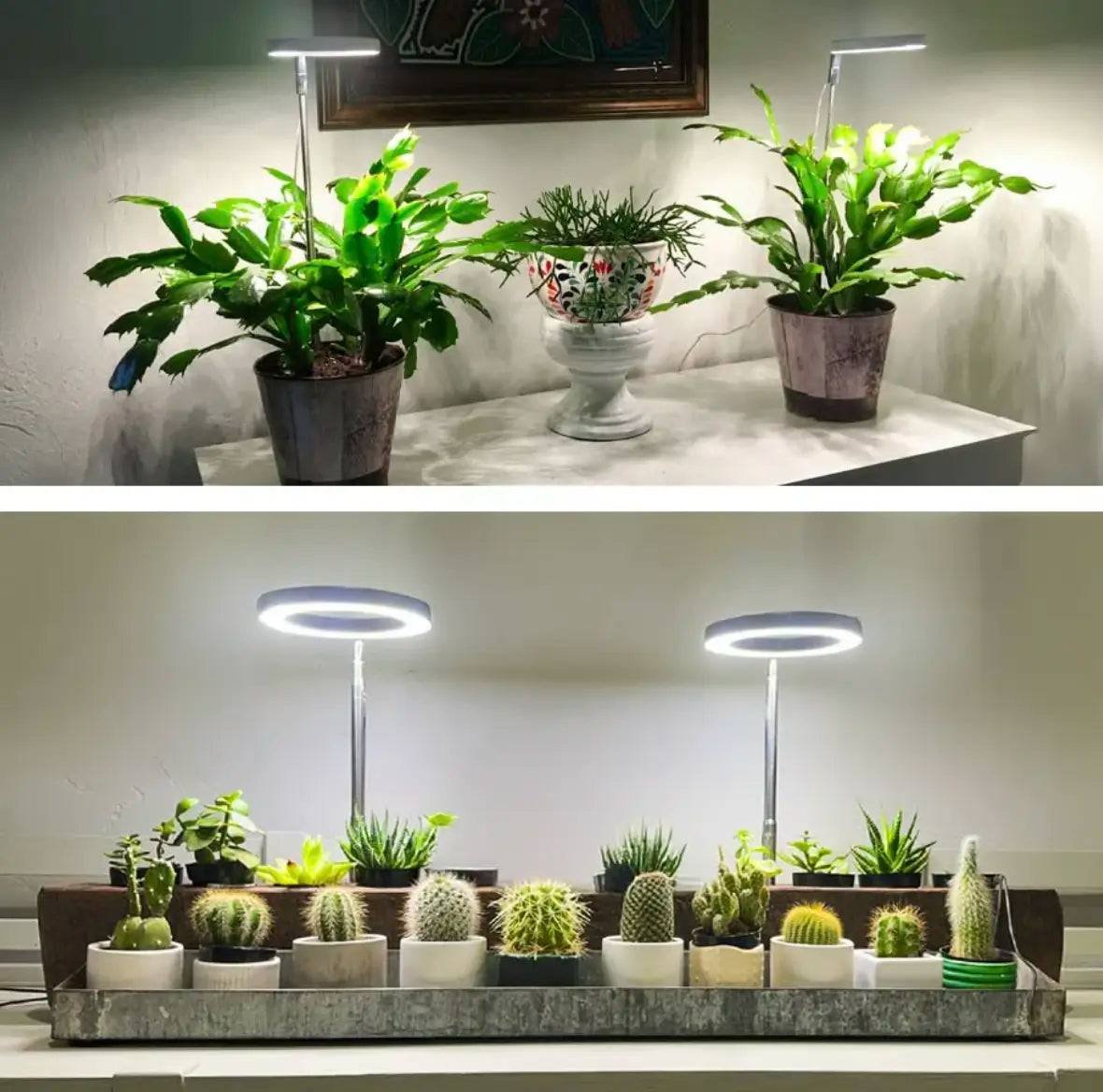 HerbaLite - Pflanzenlampe mit Vollspektrum und verstellbarem Ständer