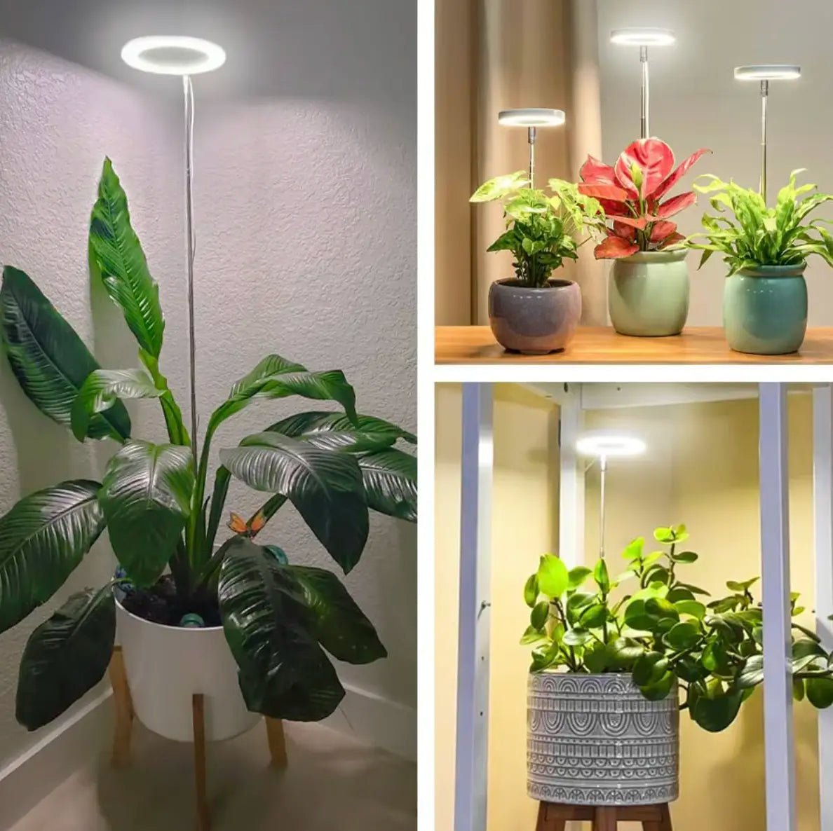 HerbaLite - Pflanzenlampe mit Vollspektrum und verstellbarem Ständer