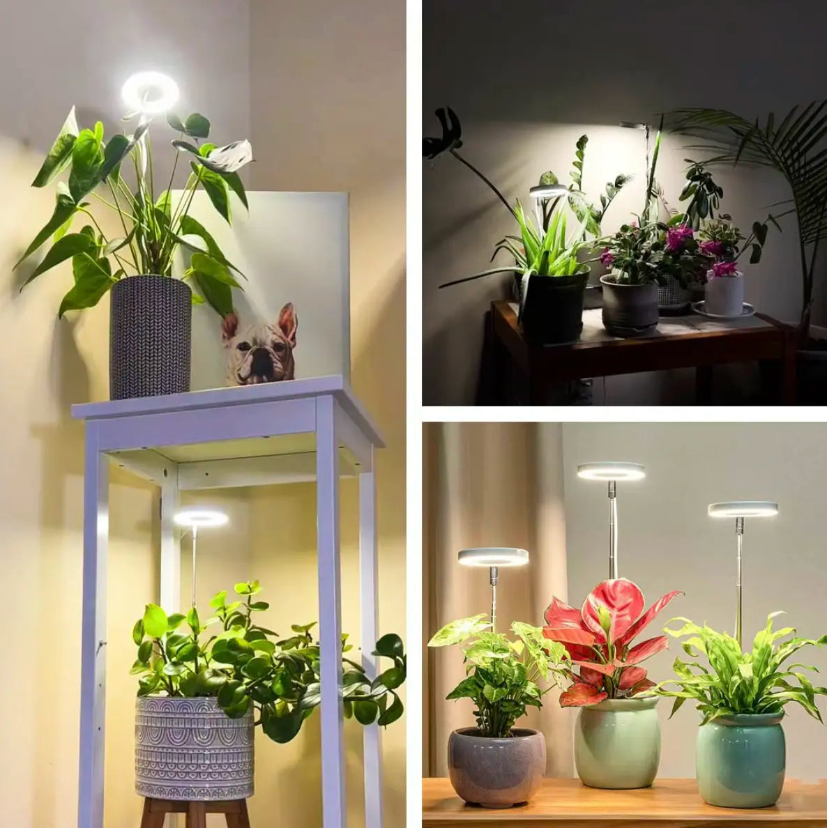 HerbaLite - Pflanzenlampe mit Vollspektrum und verstellbarem Ständer