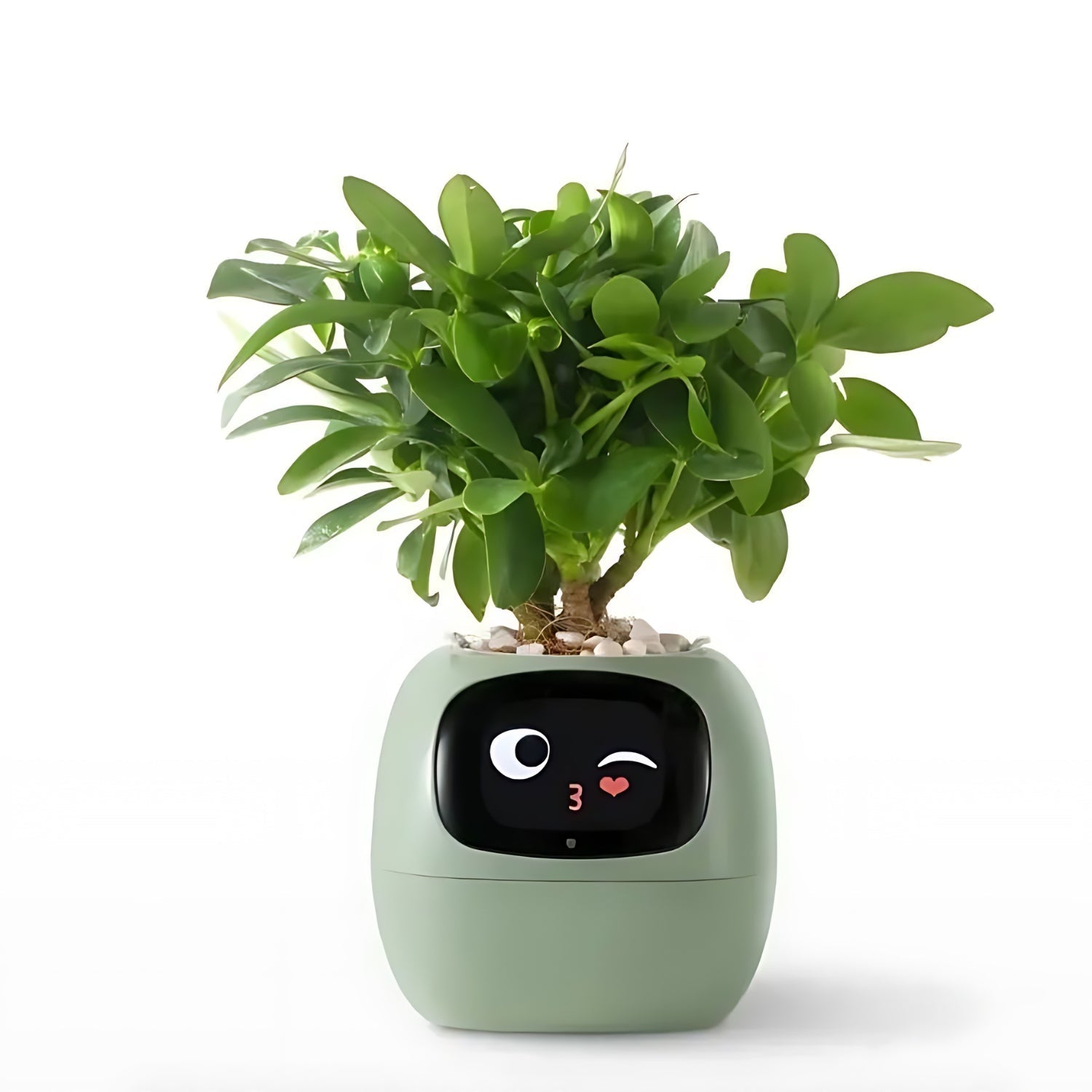 PflanzenFreund SmartPot | Intelligenter Blumentopf mit automatischer Bewässerung | App-Steuerung & Emoji-Feedback
