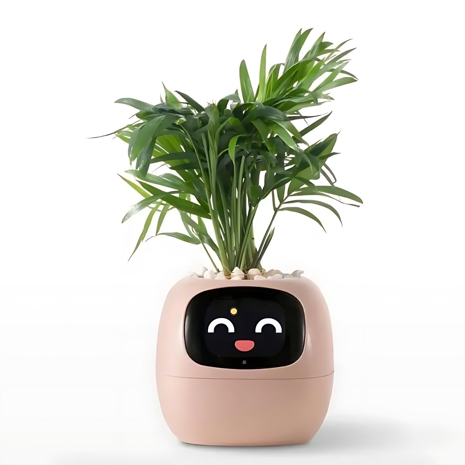 PflanzenFreund SmartPot | Intelligenter Blumentopf mit automatischer Bewässerung | App-Steuerung & Emoji-Feedback