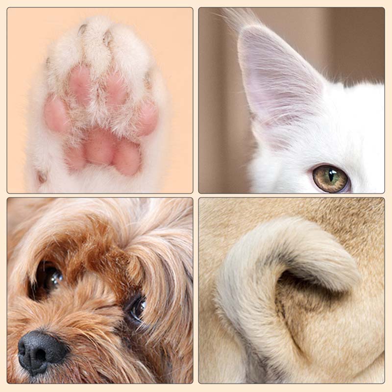 1+1 GRATIS | PawPerfect - LED Haustierhaarschneider Pro
