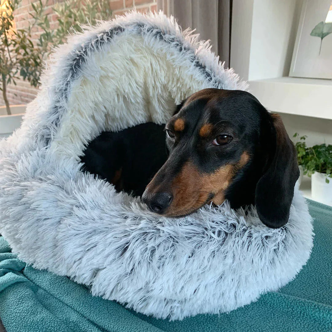 FurHaven - Mein Hund liebt es