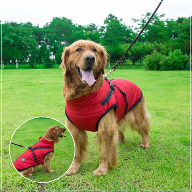 WoofGuard™ - Wasserdichte Winterjacke mit integriertem Gurtzeug