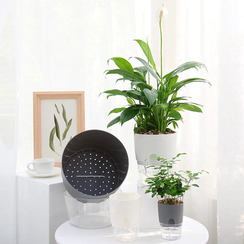 Floriva Selbstbewässernder Blumentopf | Bis zu 20 Tage ohne Gießen | Modernes Design mit Wasserreservoir | 3 Größen